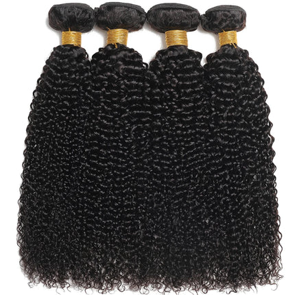 Unprocessed Brazilian Kinky Curly Human Hair Bundles